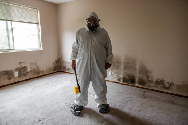 Best Mold Removal for HVAC Installations  in Piney Green, NC